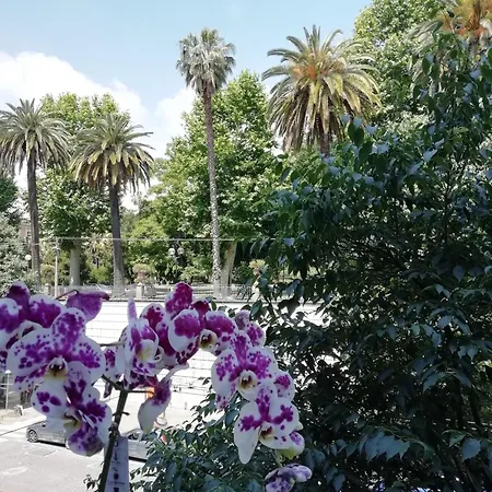 Bed & Breakfast Botanic Charm