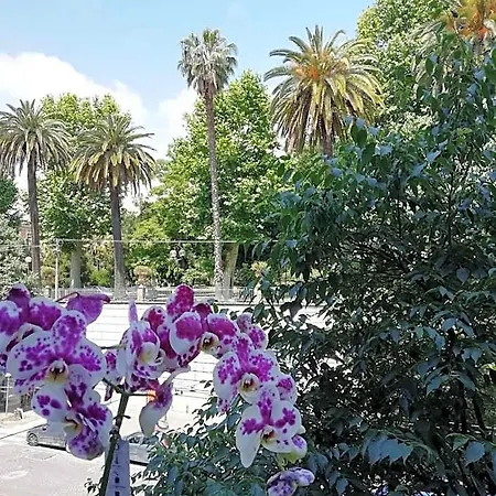 Bed & Breakfast Botanic Charm 3*