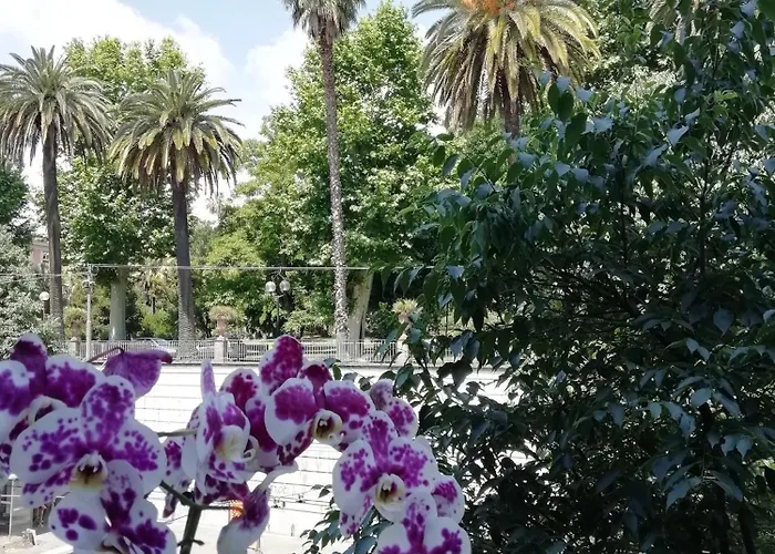 Couette-café Botanic Charm